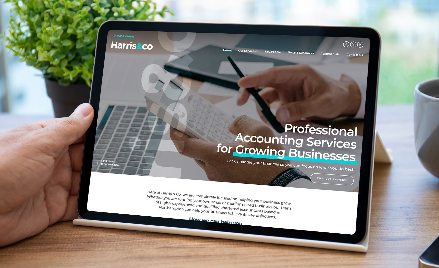 Accounting Services for Growing Businesses